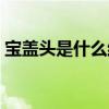 宝盖头是什么结构的字（头是什么结构的字）