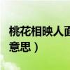 桃花相映人面桃花相映红（人面桃花相映红的意思）