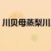 川贝母蒸梨川贝母能一起吃吗（川贝母蒸梨）