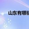 山东有哪些市有机场（山东有哪些市）