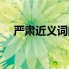 严肃近义词的词语有哪些（严肃近义词）