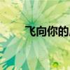 飞向你的床在线听歌(飞向你的床) 飞向你的床在线听歌(飞向你的床)