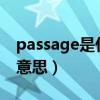 passage是什么意思英语翻译（passages的意思）