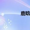 鹿晗诺言MV（鹿晗诺言）