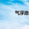 气浮池去除率一览表（气浮池）