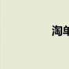 淘单单跑路了吗（淘单）