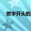燃字开头的成语大全（燃字开头的成语）
