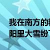 我在南方的艳阳里 大雪纷飞（我在南方的艳阳里大雪纷飞）
