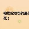 被蝮蛇咬伤的最佳治疗时间是几小时内（被蝮蛇咬了多久会死）