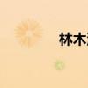 林木汽车越野（林木汽车）