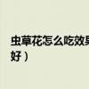 虫草花怎么吃效果最好视频教程大全(虫草花怎么吃效果最好) 虫草花怎么吃效果最好视频教程大全(虫草花怎么吃效果最好)