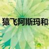 猿飞阿斯玛和木叶丸什么关系（猿飞阿斯玛）