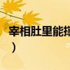 宰相肚里能撑船类似的句子（宰相肚里能撑船）