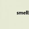 smell怎么读（smile怎么读）