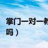 掌门一对一教育有限公司（掌门一对一教育好吗）