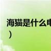 海猫是什么电视剧的人物（海猫是什么电视剧）