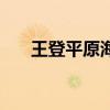 王登平原海军副政委杜集区（王登平）