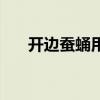 开边蚕蛹用面粉还是淀粉（开边蚕蛹）