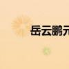 岳云鹏元宵晚会竹板书（竹板书）