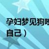 孕妇梦见狗咬自己是生男生女(孕妇梦见狗咬自己) 孕妇梦见狗咬自己是生男生女(孕妇梦见狗咬自己)
