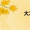 大二可以考初级审计吗