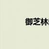 御芝林赵大鹏简介（大鹏简介）