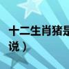 十二生肖猪是怎么来的（十二生肖猪的来历传说）