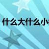 什么大什么小补充完整句子(什么大什么小) 什么大什么小补充完整句子(什么大什么小)
