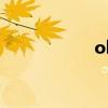 ol官能日记在我里面