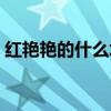 红艳艳的什么填上合适词语（红艳艳的什么）