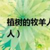 植树的牧羊人读后感600字大全（植树的牧羊人）
