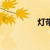灯带一米多少钱（灯带）