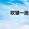 吹皱一池春水谜语(吹皱一池春水) 吹皱一池春水谜语(吹皱一池春水)