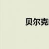 贝尔克朗尼小说（贝尔克朗尼）