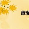 黎瑾-陆言修（陆瑾黎复）