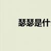 瑟瑟是什么意思（瑟瑟发抖的意思）