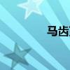 马齿苋树图片(马齿苋树) 马齿苋树图片(马齿苋树)