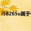 i58265u属于什么级别(i58265u与8250u) i58265u属于什么级别(i58265u与8250u)