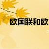 欧国联和欧足联（欧国联和欧洲杯区别）