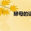 酵母的读音是什么（酵母的读音）