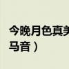 今晚月色真美日文歌词（今晚月色真好歌曲罗马音）