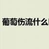 葡萄伤流什么时候开始和结束（开始和结束）