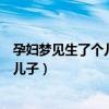 孕妇梦见生了个儿子是什么意思周公解梦（孕妇梦见生了个儿子）