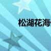 松湖花海什么时候有花（松湖花海）