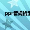 ppr管规格型号尺寸表图片（ppr管规格）