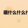 藏什么什么什么四字词语（藏什么什么山）