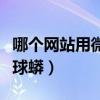 哪个网站用微信就可以买球（哪个微信号有卖球蟒）