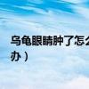 乌龟眼睛肿了怎么办用莫匹罗星可以吗（乌龟眼睛肿了怎么办）