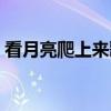 看月亮爬上来歌词图片（看月亮爬上来歌词）
