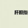 肝胆指什么代称（肝胆指什么）